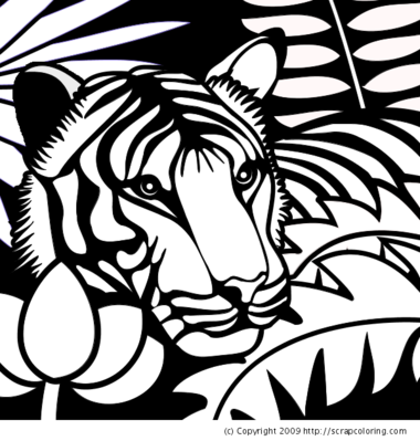 Tiger in the Jungle -- 19/10/09