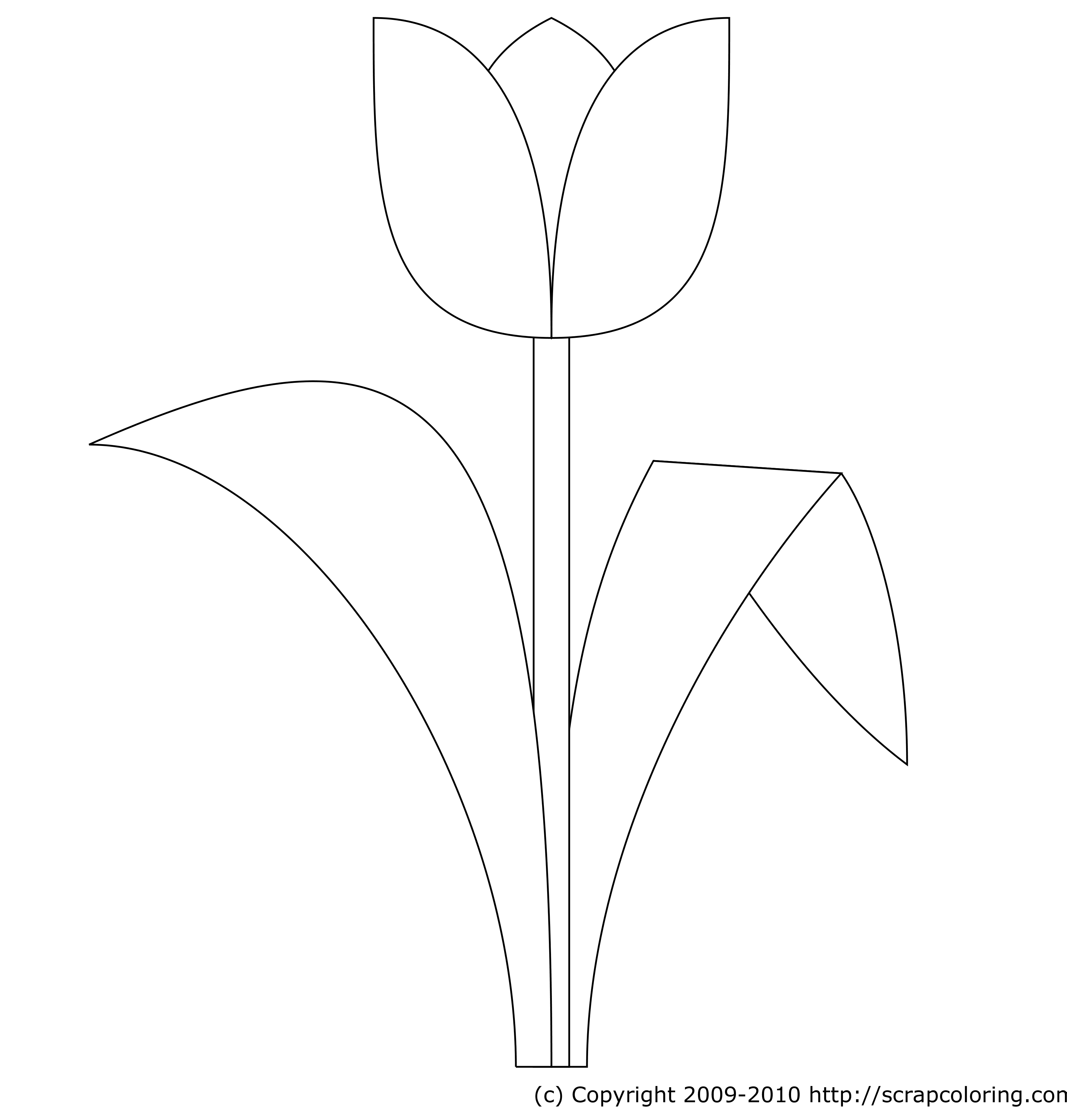 Featured image of post Simple Tulip Drawing - Once the leaves and stems are added, look at composition to see if there needs.