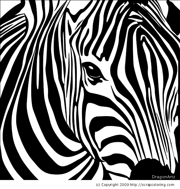 zebra without stripes coloring pages free - photo #46